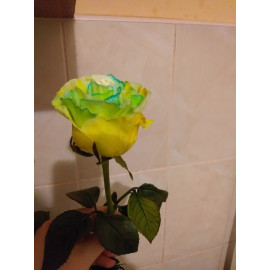 Colorant pentru flori tăiate albastru PreFlower Color 100 g