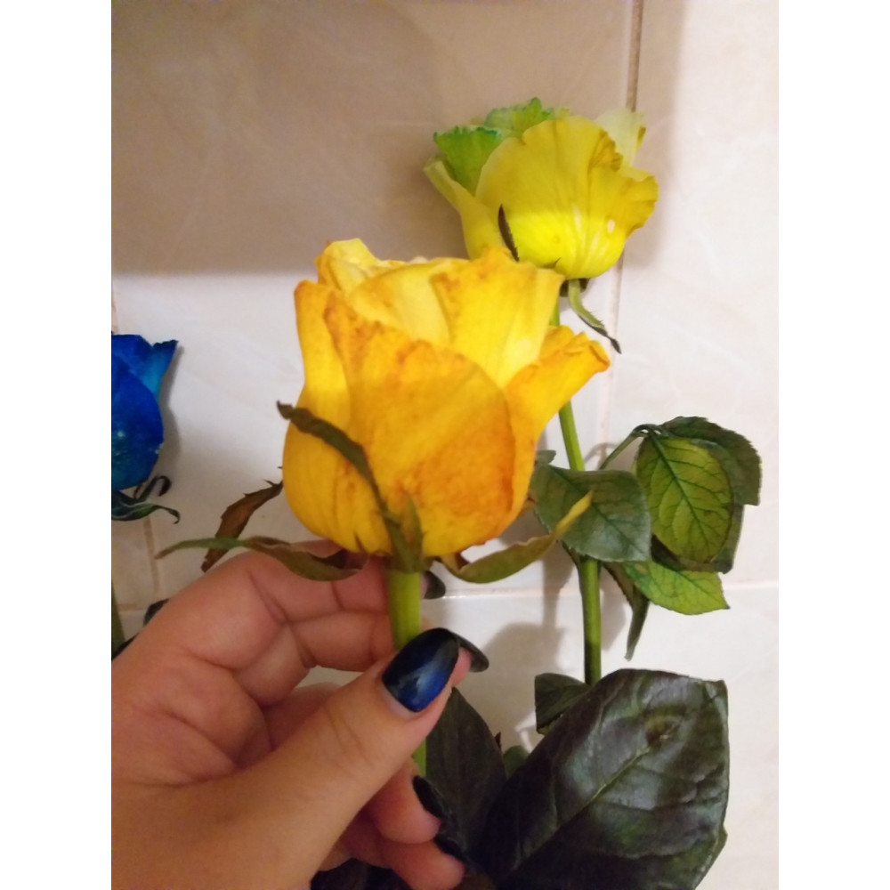 Краситель для срезанных цветов желтая PreFlower Color 1 кг
