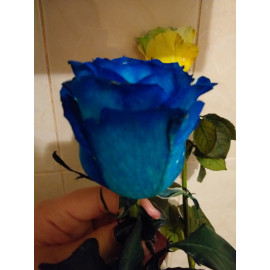 Краситель для срезанных цветов желтая PreFlower Color 1 кг