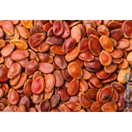 Краска для семян красная REDCORN 5 л
