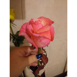 Краситель для срезанных цветов оранжевая PreFlower Color 1 кг
